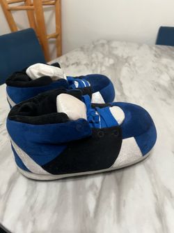 shoe slipper