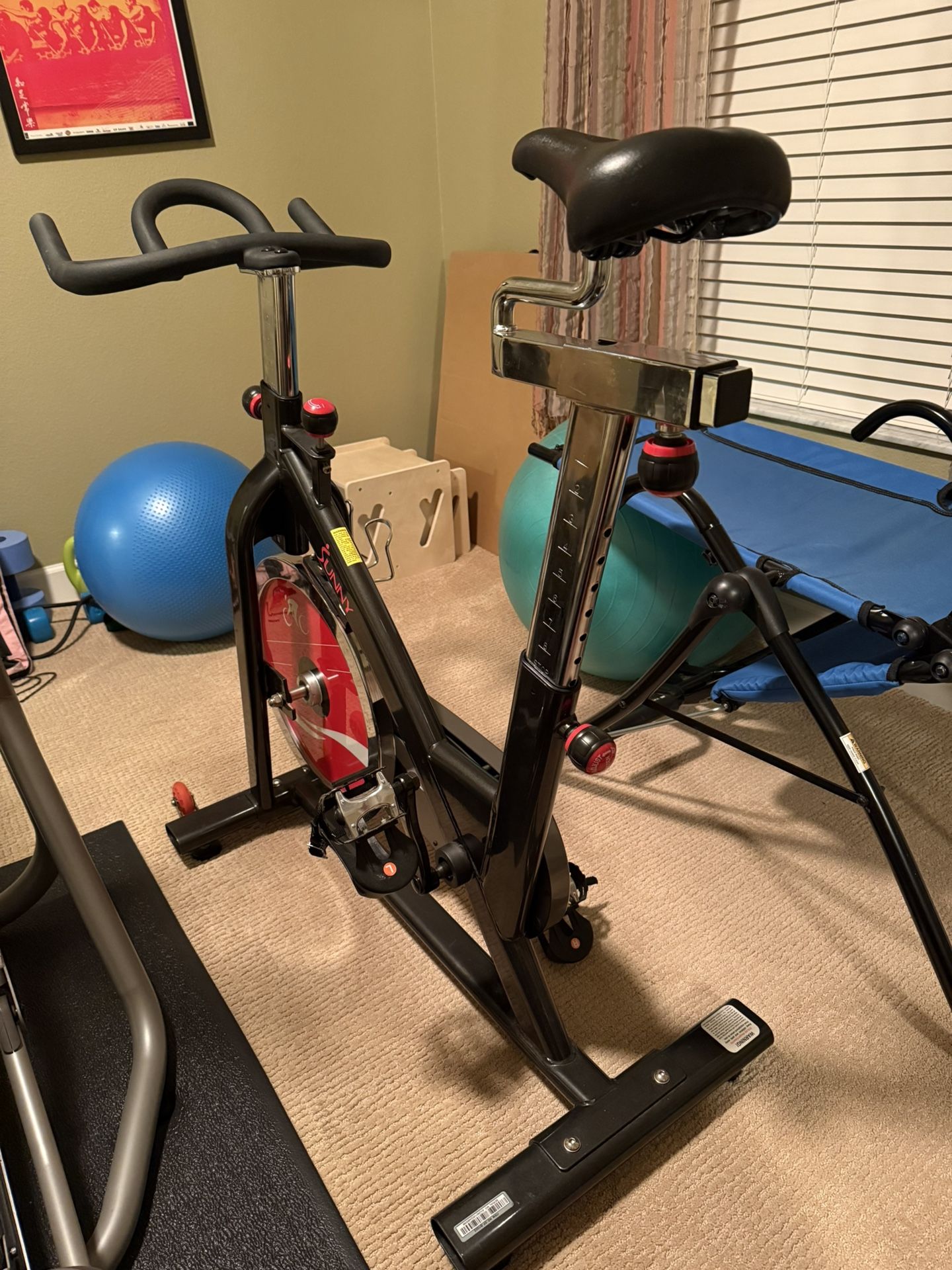 Sunny Exercise Bicycle