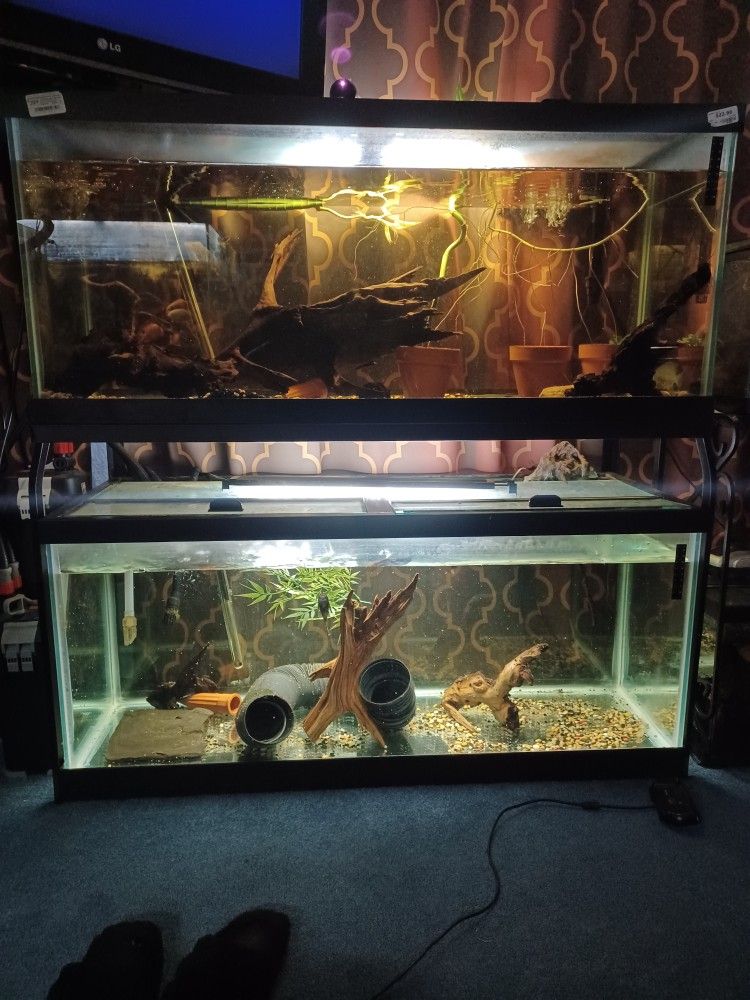 75g Tanks ×2 And Stackable Iron Stand
