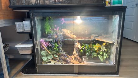 Reptile tank enclosure