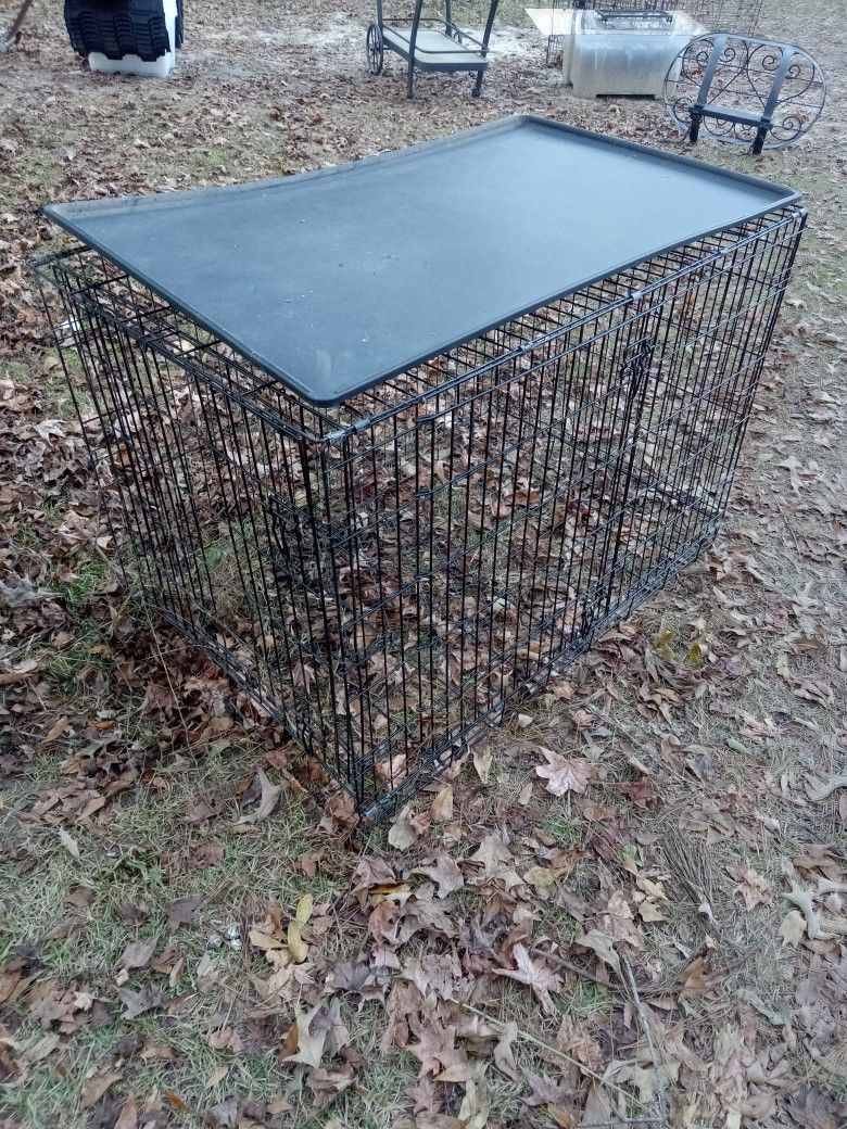 Big Kennel