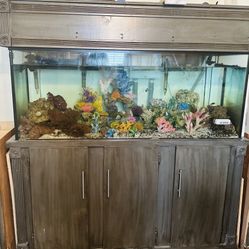 120 Fish Tank With Canopy 