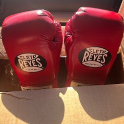 Cleto Reyes Safetec Professional Fight Gloves