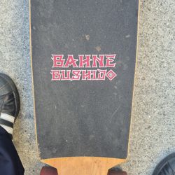 Long Board Skate Board 