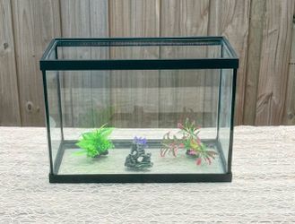 20 Gallon Glass Tank Aquarium