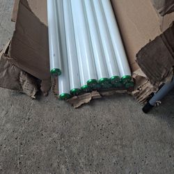 Phillips Light Bulbs