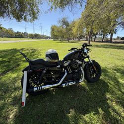 Harley Davison 1200 Sporters 48