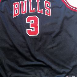 Jersey Bulls