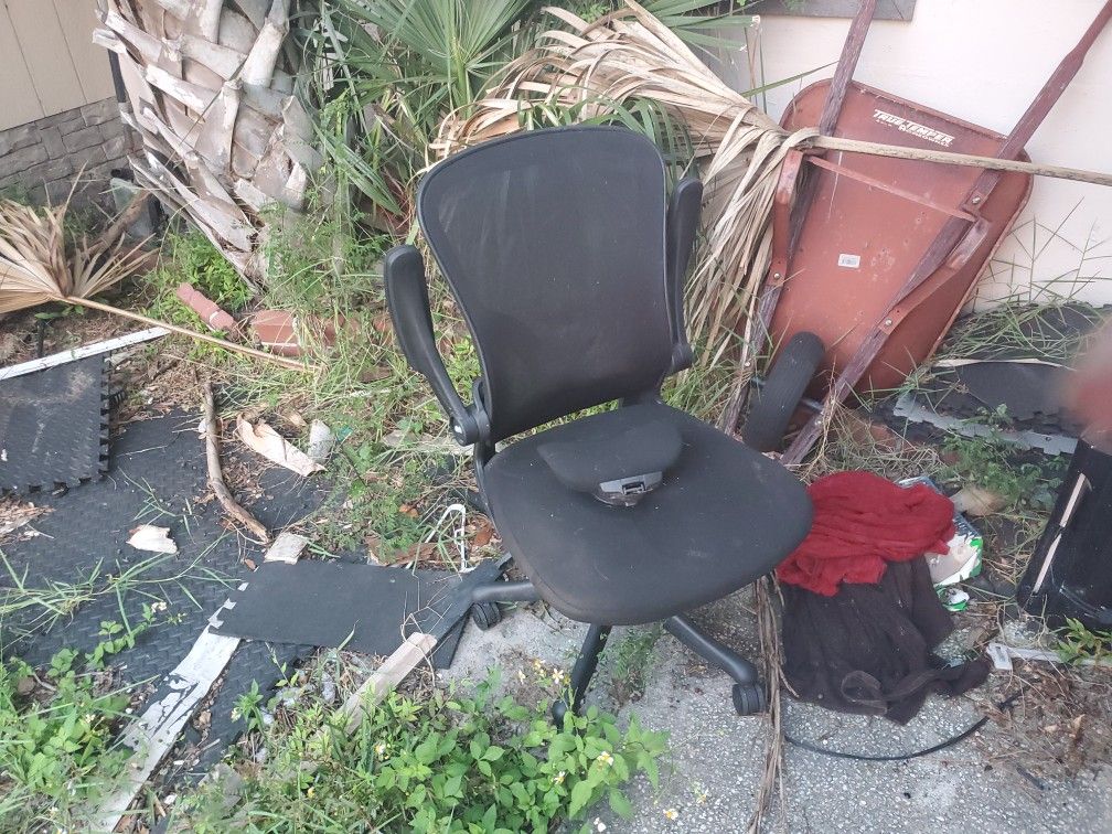 Office Chair