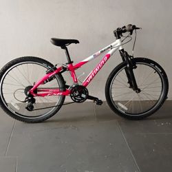 BICYCLE SPECIALIZED 21 SPEED BRAND NEW 