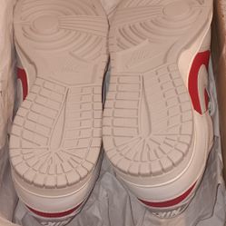 Nike Dunk Low Retro Light Iron Ore/Gym Red Retro HJ9093-030 11