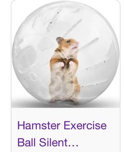 Hamster exercise Ball 