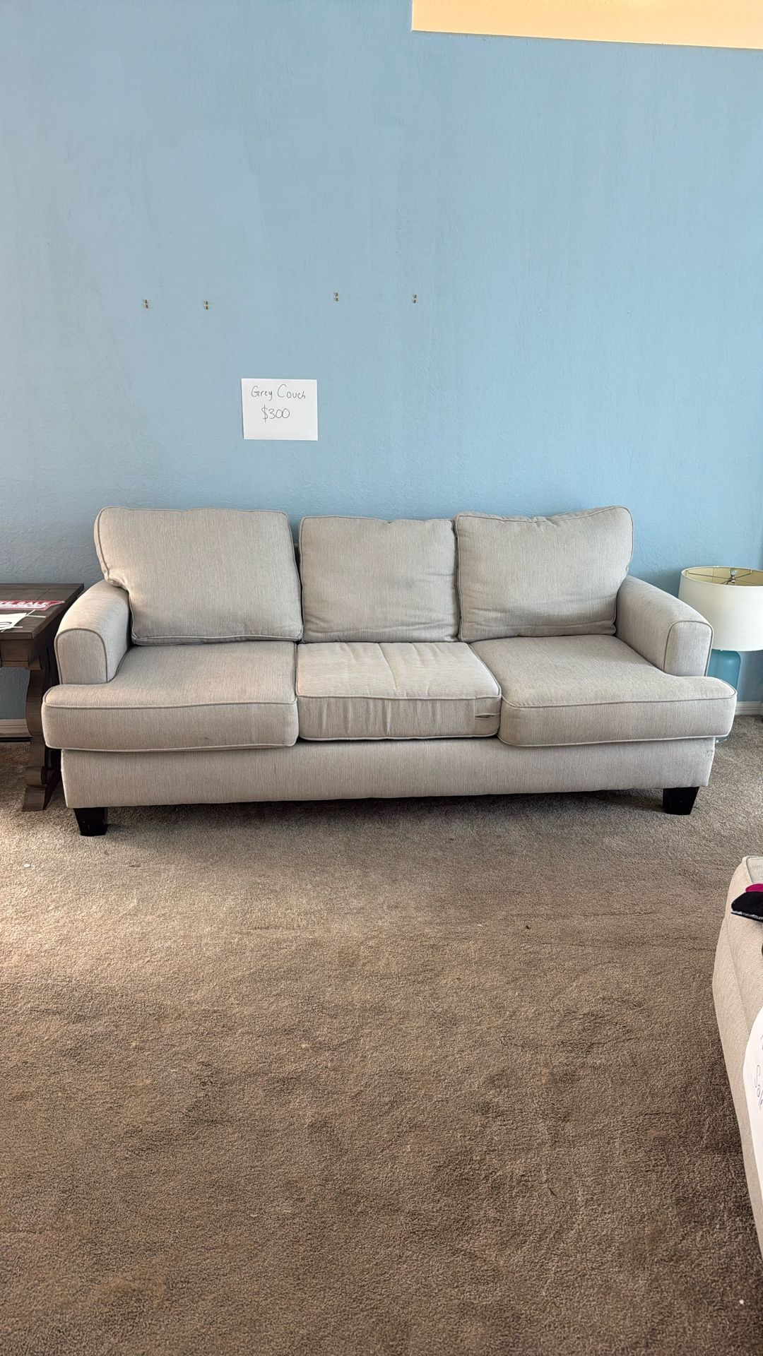 Light Grey Couch