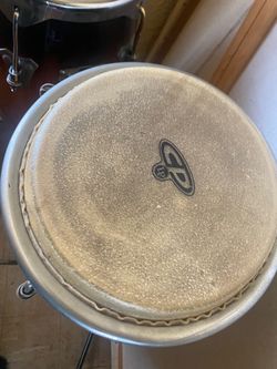 CP LP Congas