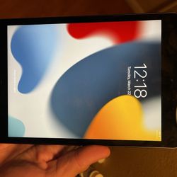iPad 5th Gen ( Mini / WiFi Only)