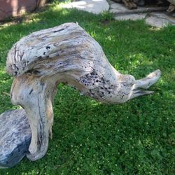 Driftwood For Aquariums Terrariums Decor 