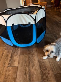 Large Pop-Up Dog Pen
