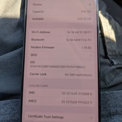 16 Pro 256 Gb Unlocked 