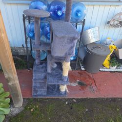 Cat Tree 