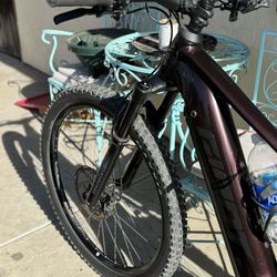 2023 Giant E-bike ( Medium)