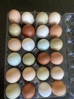 Fresh Chicken Eggs Available