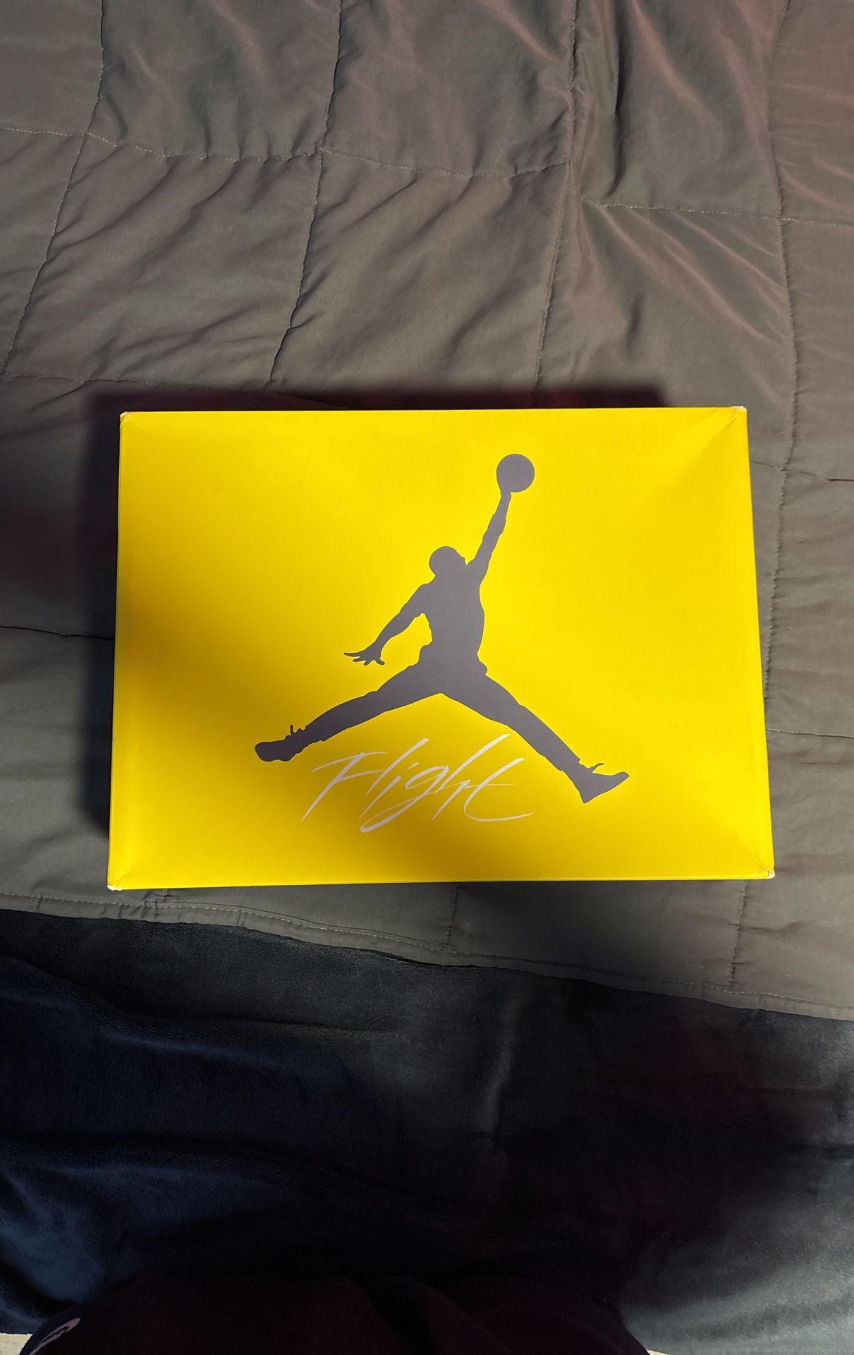 Jordan 4 Retro Lighting