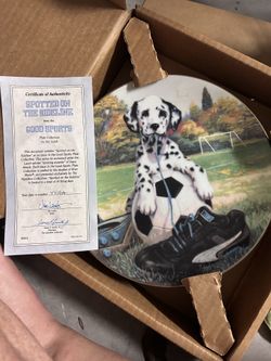 Spotted in the Sidelines Authentic Good Sports plate