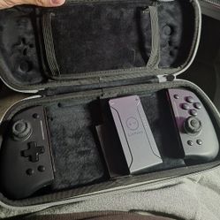 Nintendo Switch Joycons