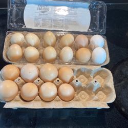 Farm Fresh Eggs 