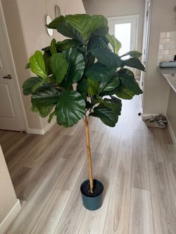 Decorative Faux plants
