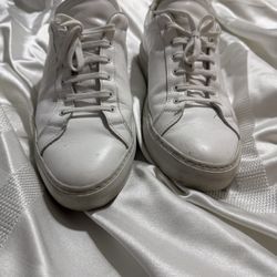 Common Projects Size 11 Men
