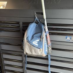 Tee Ball Bat And Bag