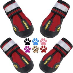 Dog Boots