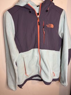 The North Face Denali Fleece Hoodie Jacket