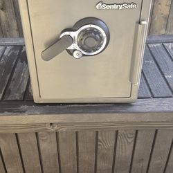 Sentry Safe