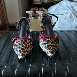 Leopard Print And Red Heels