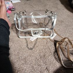 Clear Purse With Silver Trim