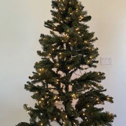 Christmas Tree 
