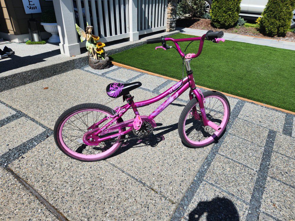 Girls Purple Bike