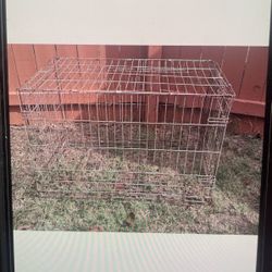 Cage