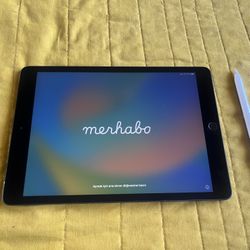 iPad 7 + Apple Pencil (1st Gen) 