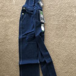 Boys Overalls (size 20)
