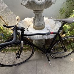 Fuji Fixed Gear
