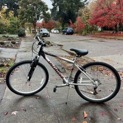 8 Speed Specialized Mountain Bike