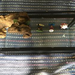 Fish tank With Fish Toys