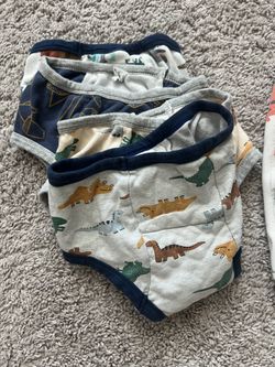 Training Underwear And Leakproof Bedtime Shorts