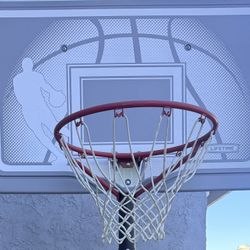 Lifetime 44in Gray & White Portable Basketball Hoop