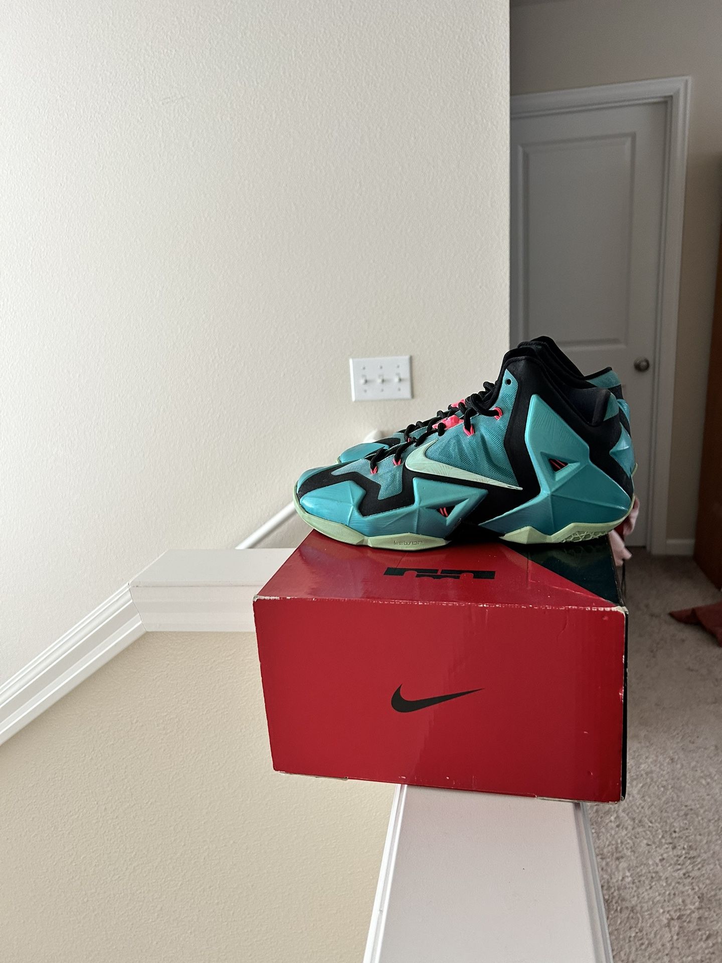 Lebron 11 South Beach