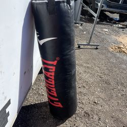 Everlast Punching Bag