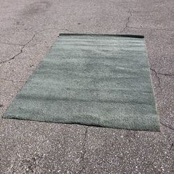 Rug/Carpet